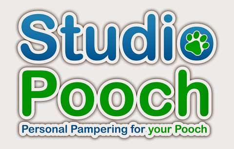 Studio Pooch photo